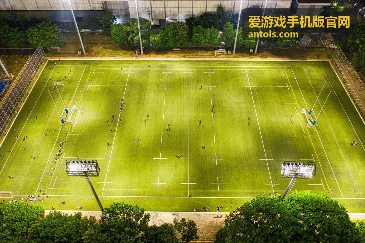 爱游戏手机版官网预下载时段与开服节点安排