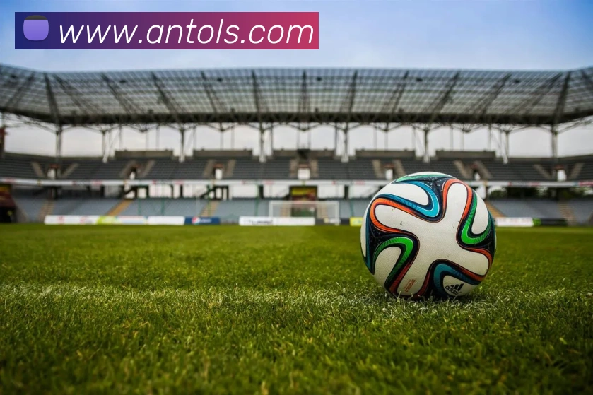 世界杯官方网络平台平台生态图